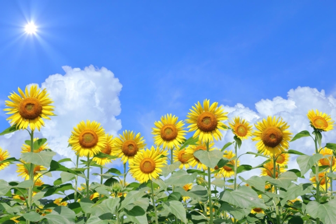 Thumbnail of related posts 075